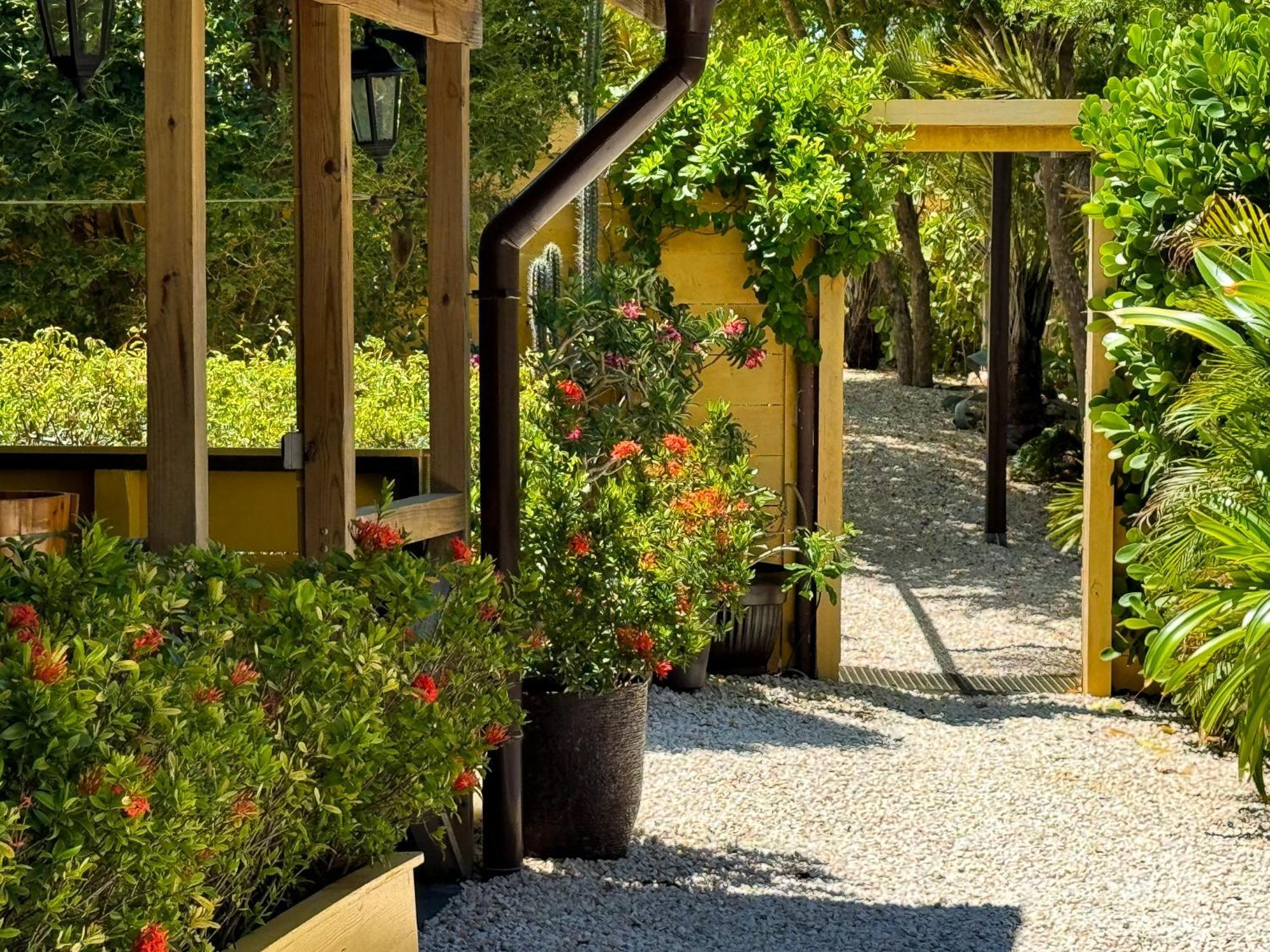 Jan Kok Lodges Willibrordus Exterior photo